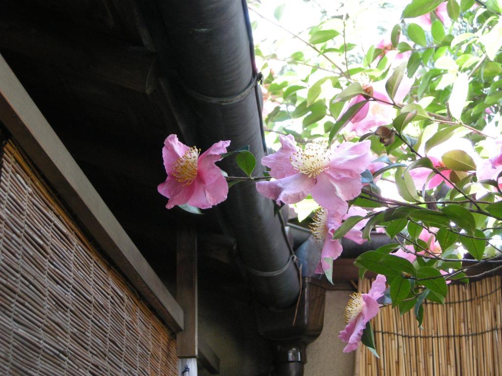 Guesthouse Itoya Quioto Exterior foto